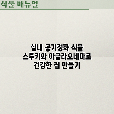 실내 공기정화 식물: 스투키와 아글라오네마로 건강한 집 만들기