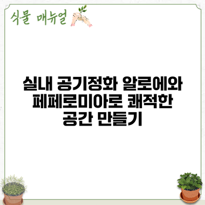 실내 공기정화: 알로에와 페페로미아로 쾌적한 공간 만들기