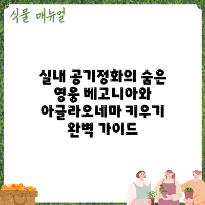 실내 공기정화의 숨은 영웅: 베고니아와 아글라오네마 키우기 완벽 가이드