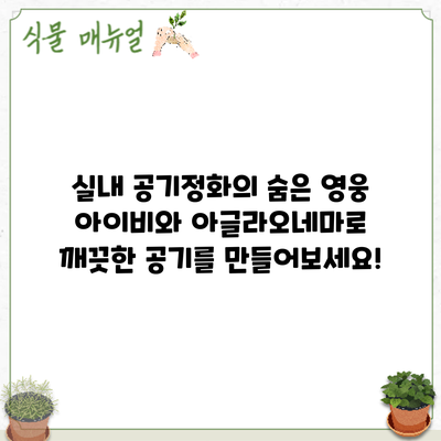 실내 공기정화의 숨은 영웅: 아이비와 아글라오네마로 깨끗한 공기를 만들어보세요!