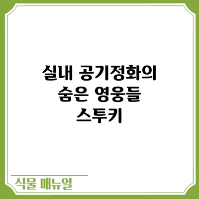 실내 공기정화의 숨은 영웅들: 스투키