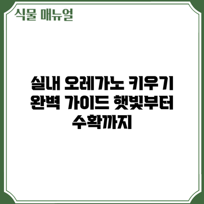 실내 오레가노 키우기 완벽 가이드: 햇빛부터 수확까지