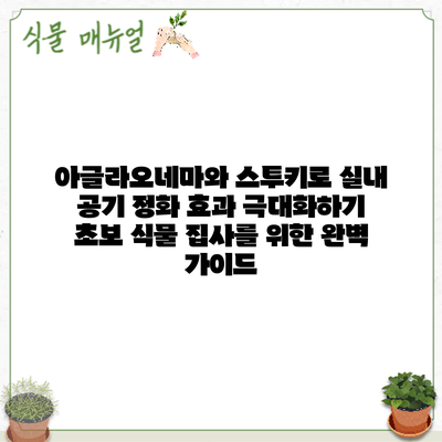 아글라오네마와 스투키로 실내 공기 정화 효과 극대화하기: 초보 식물 집사를 위한 완벽 가이드