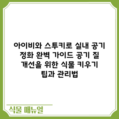 아이비와 스투키로 실내 공기 정화 완벽 가이드: 공기 질 개선을 위한 식물 키우기 팁과 관리법