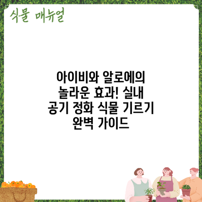 아이비와 알로에의 놀라운 효과! 실내 공기 정화 식물 기르기 완벽 가이드