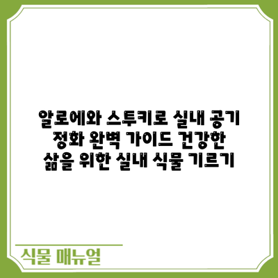 알로에와 스투키로 실내 공기 정화 완벽 가이드: 건강한 삶을 위한 실내 식물 기르기