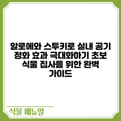 알로에와 스투키로 실내 공기 정화 효과 극대화하기: 초보 식물 집사를 위한 완벽 가이드