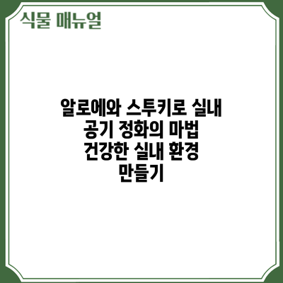 알로에와 스투키로 실내 공기 정화의 마법: 건강한 실내 환경 만들기