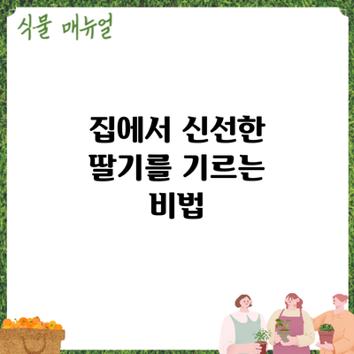 집에서 신선한 딸기를 기르는 비법