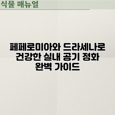 페페로미아와 드라세나로 건강한 실내 공기 정화: 완벽 가이드