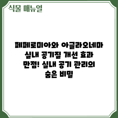 페페로미아와 아글라오네마: 실내 공기질 개선 효과 만점! 실내 공기 관리의 숨은 비밀