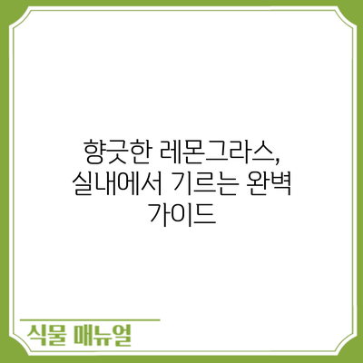 향긋한 레몬그라스, 실내에서 기르는 완벽 가이드