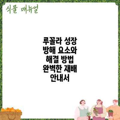 루꼴라 성장 방해 요소와 해결 방법: 완벽한 재배 안내서