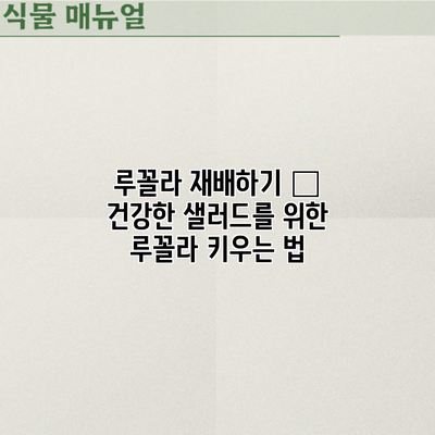 루꼴라 재배하기 – 건강한 샐러드를 위한 루꼴라 키우는 법