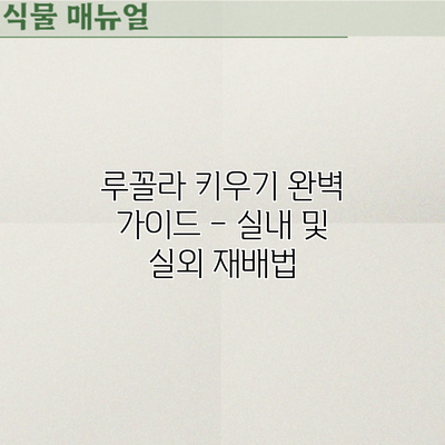 루꼴라 키우기 완벽 가이드 – 실내 및 실외 재배법