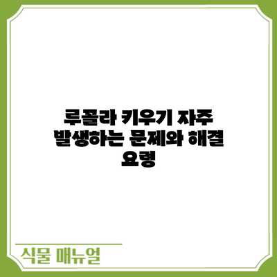 루꼴라 키우기: 자주 발생하는 문제와 해결 요령