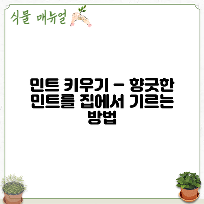 민트 키우기 – 향긋한 민트를 집에서 기르는 방법