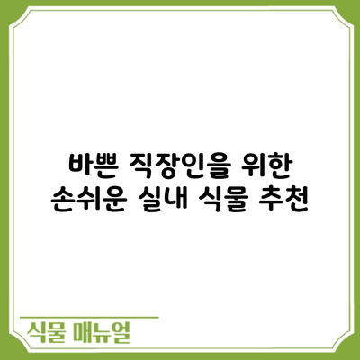 바쁜 직장인을 위한 손쉬운 실내 식물 추천