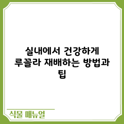 실내에서 건강하게 루꼴라 재배하는 방법과 팁