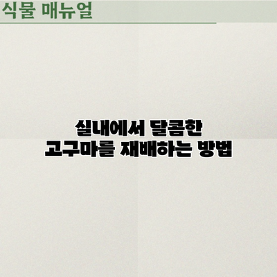 실내에서 달콤한 고구마를 재배하는 방법