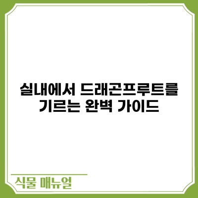 실내에서 드래곤프루트를 기르는 완벽 가이드