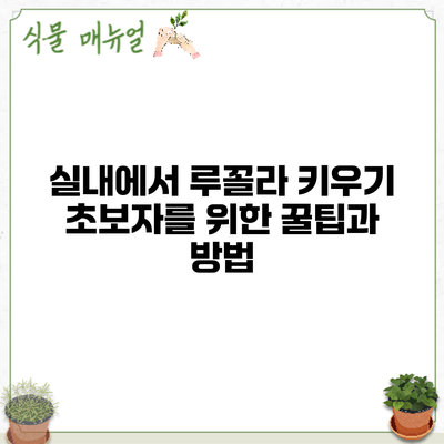 실내에서 루꼴라 키우기 초보자를 위한 꿀팁과 방법