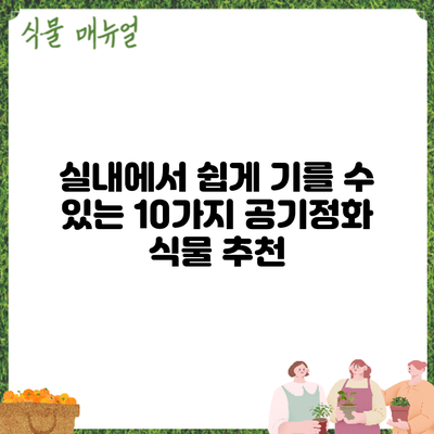 실내에서 쉽게 기를 수 있는 10가지 공기정화 식물 추천