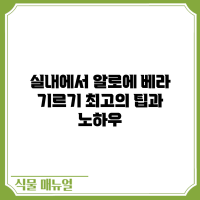 실내에서 알로에 베라 기르기: 최고의 팁과 노하우