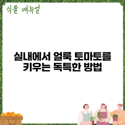 실내에서 얼룩 토마토를 키우는 독특한 방법