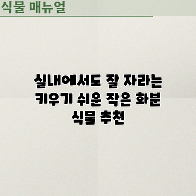 실내에서도 잘 자라는 키우기 쉬운 작은 화분 식물 추천