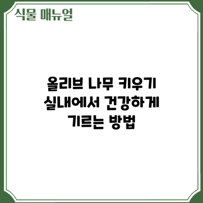 올리브 나무 키우기: 실내에서 건강하게 기르는 방법