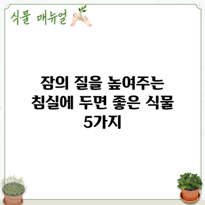 잠의 질을 높여주는 침실에 두면 좋은 식물 5가지