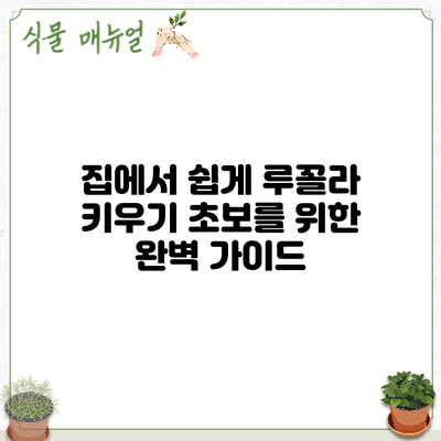 집에서 쉽게 루꼴라 키우기: 초보를 위한 완벽 가이드