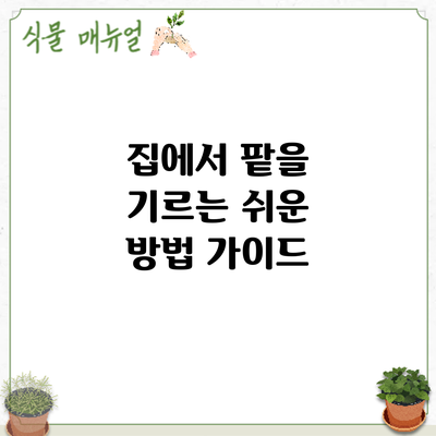 집에서 팥을 기르는 쉬운 방법 가이드