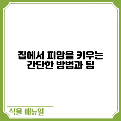 집에서 피망을 키우는 간단한 방법과 팁