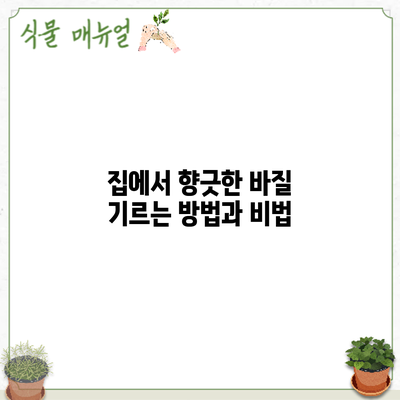 집에서 향긋한 바질 기르는 방법과 비법