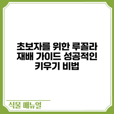 초보자를 위한 루꼴라 재배 가이드: 성공적인 키우기 비법