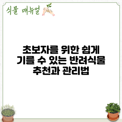 초보자를 위한 쉽게 기를 수 있는 반려식물 추천과 관리법