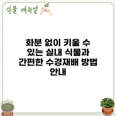 화분 없이 키울 수 있는 실내 식물과 간편한 수경재배 방법 안내
