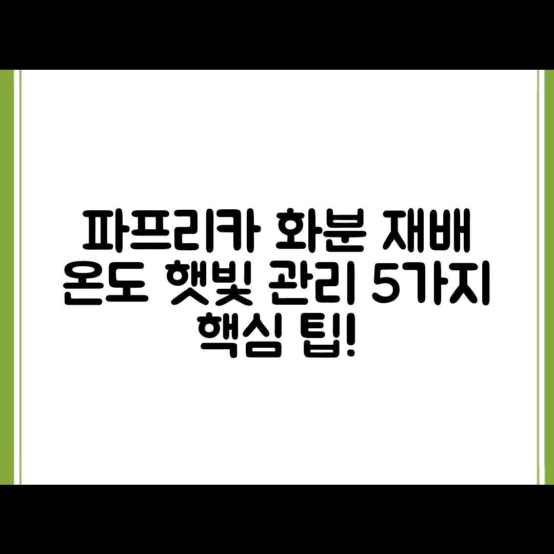 파프리카 화분 재배: 온도와 햇빛 관리 5가지 팁