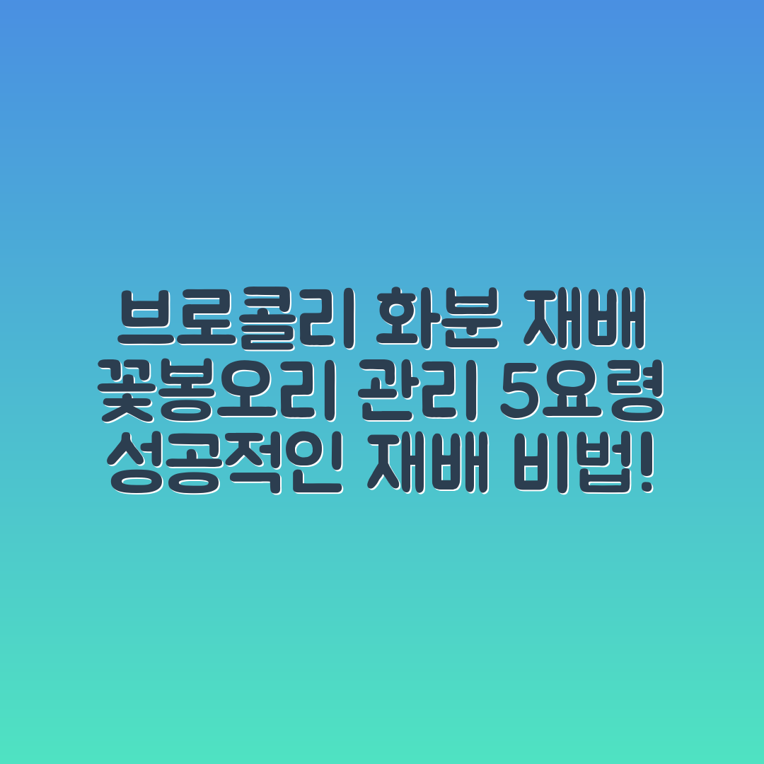 브로콜리 화분 재배와 꽃봉오리 관리 5가지 요령