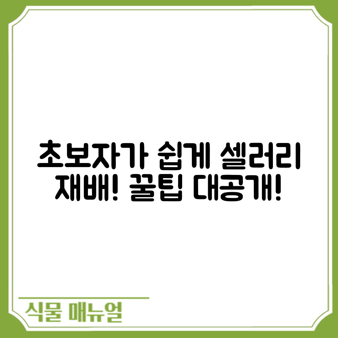 초보자도 쉽게 하는 셀러리 텃밭 재배 꿀팁