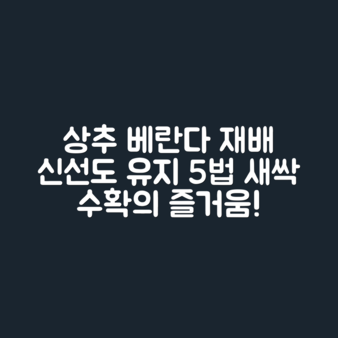 상추 베란다 재배 5가지와 신선도 유지법