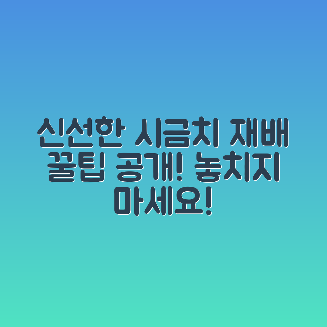 시금치 화분 재배, 신선도 유지 꿀팁은?
