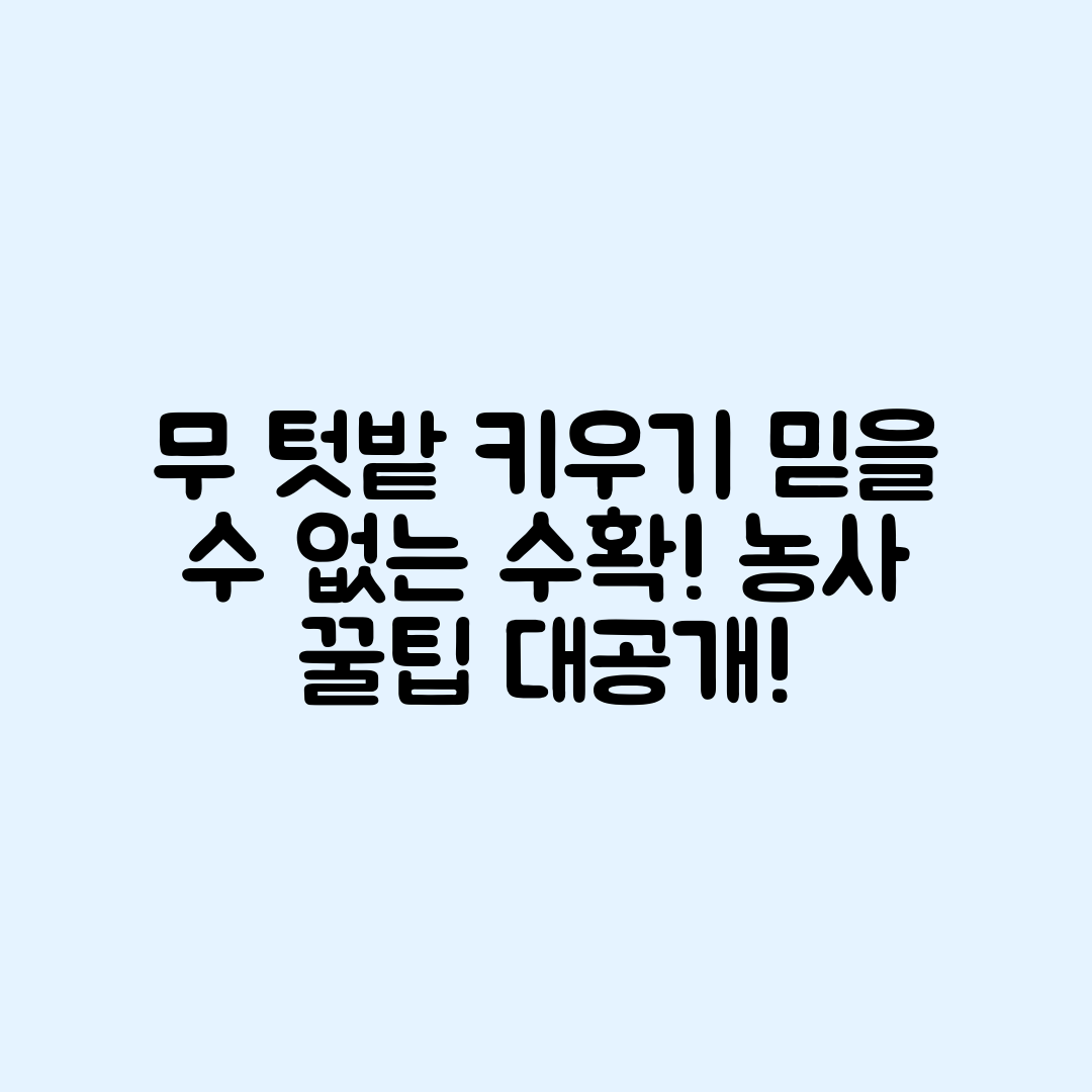 믿을 수 없는 무 텃밭 키우기와 수확 시기!