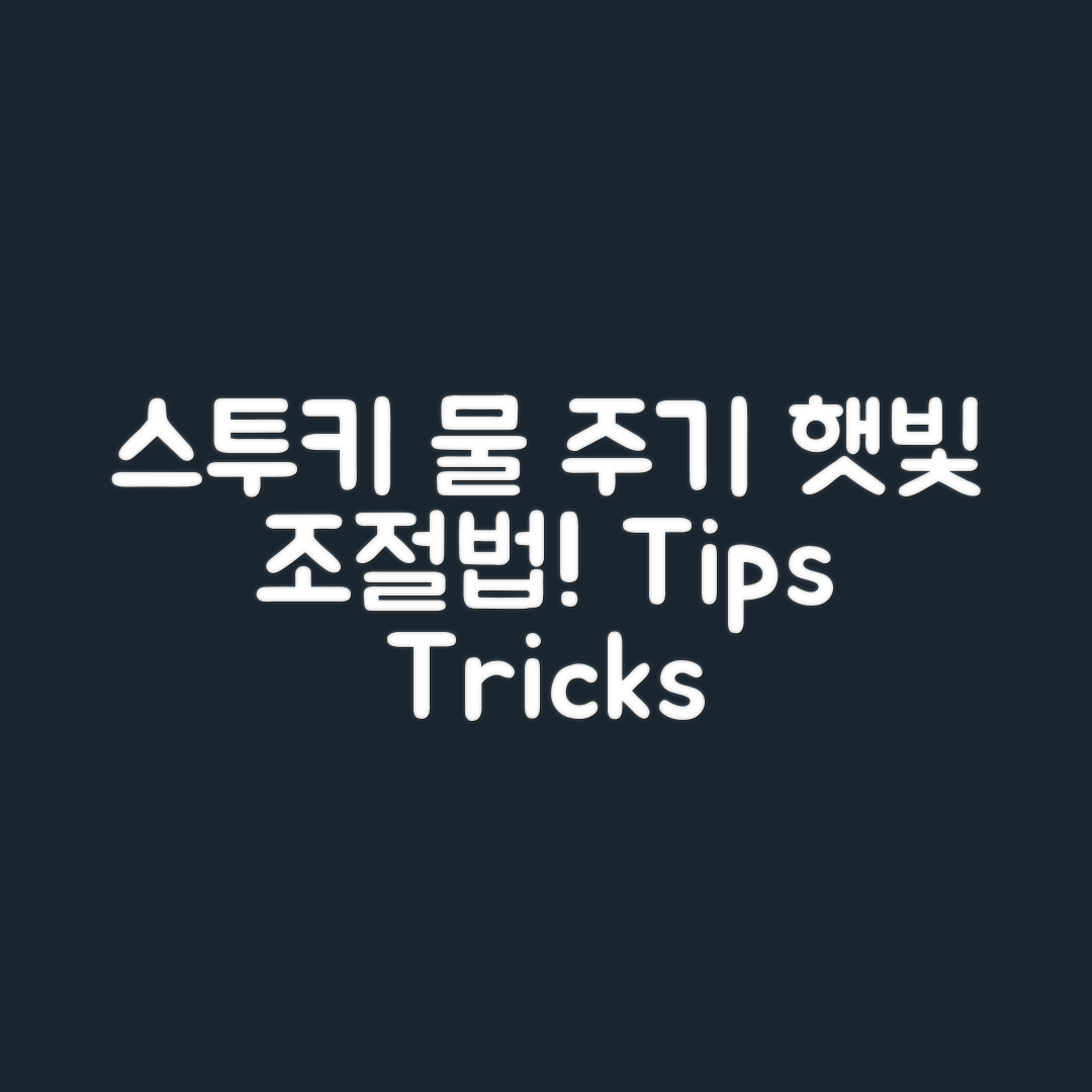 스투키 물 주기와 햇빛 조절법, 어떻게 할까요?