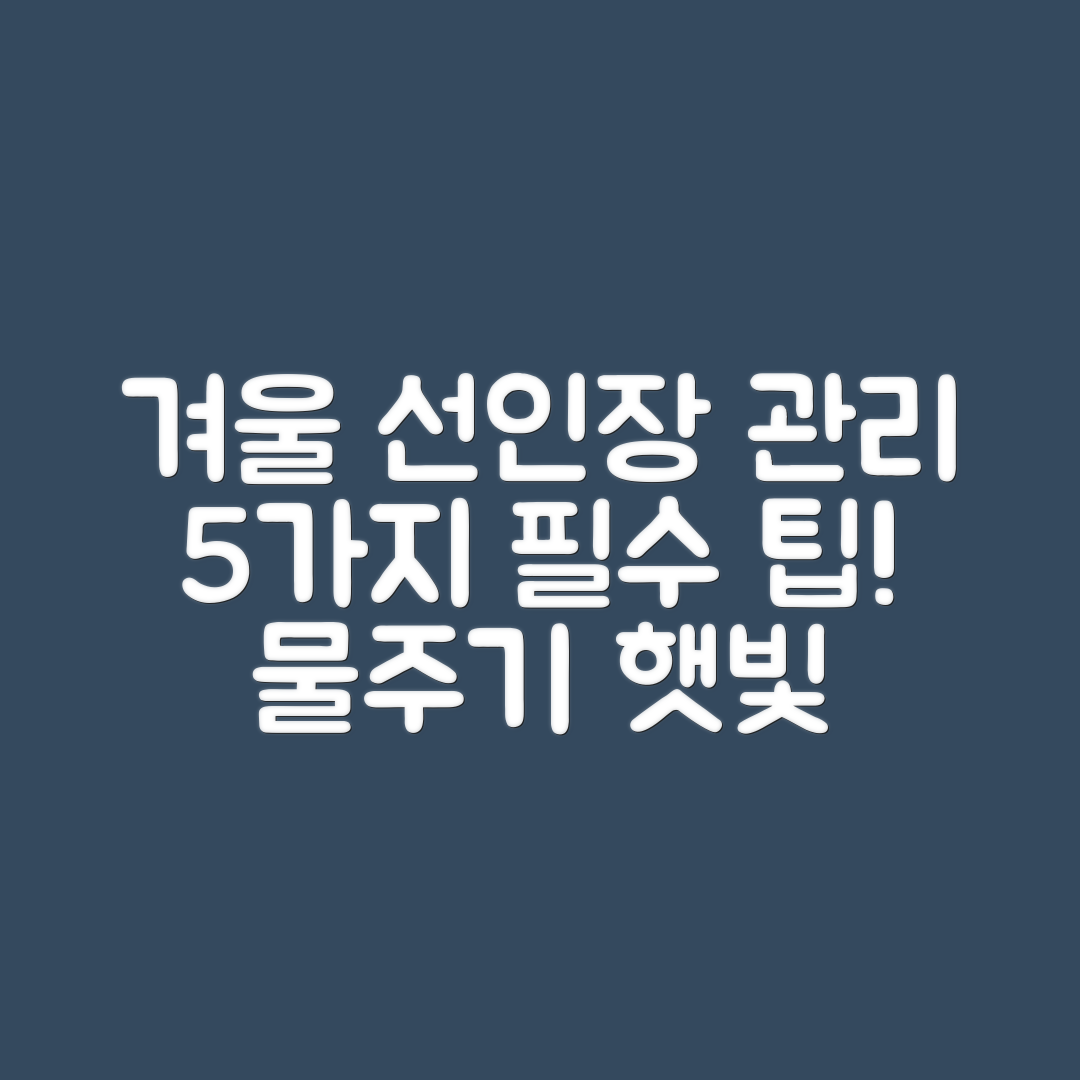 선인장 겨울철 관리법 5가지: 물주기와 햇빛 위치