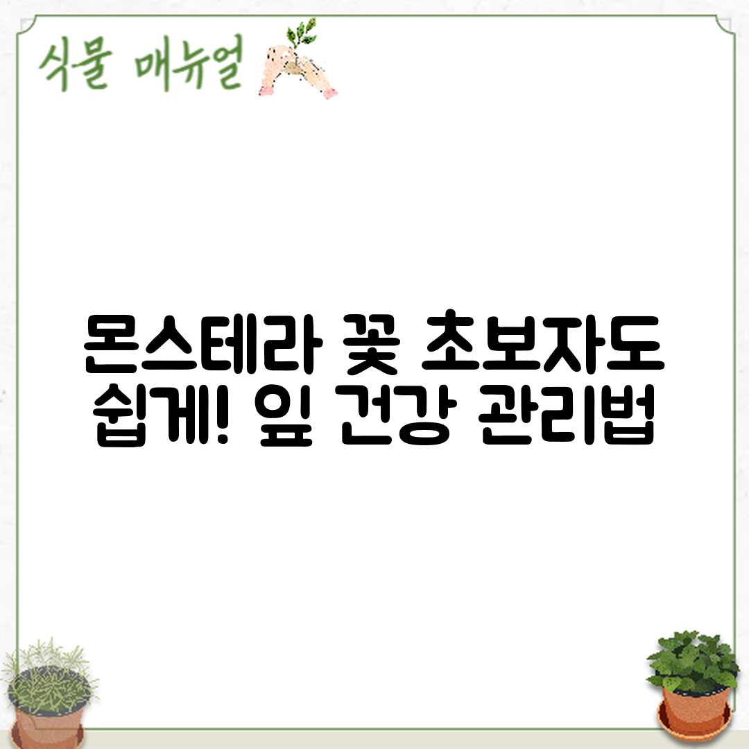 몬스테라 꽃 피우기: 초보자도 쉽게 하는 잎 건강 관리법