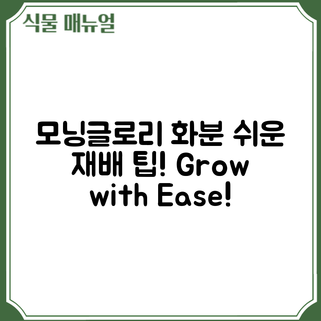 모닝글로리 화분 재배, 누구나 쉽게 하는 팁!