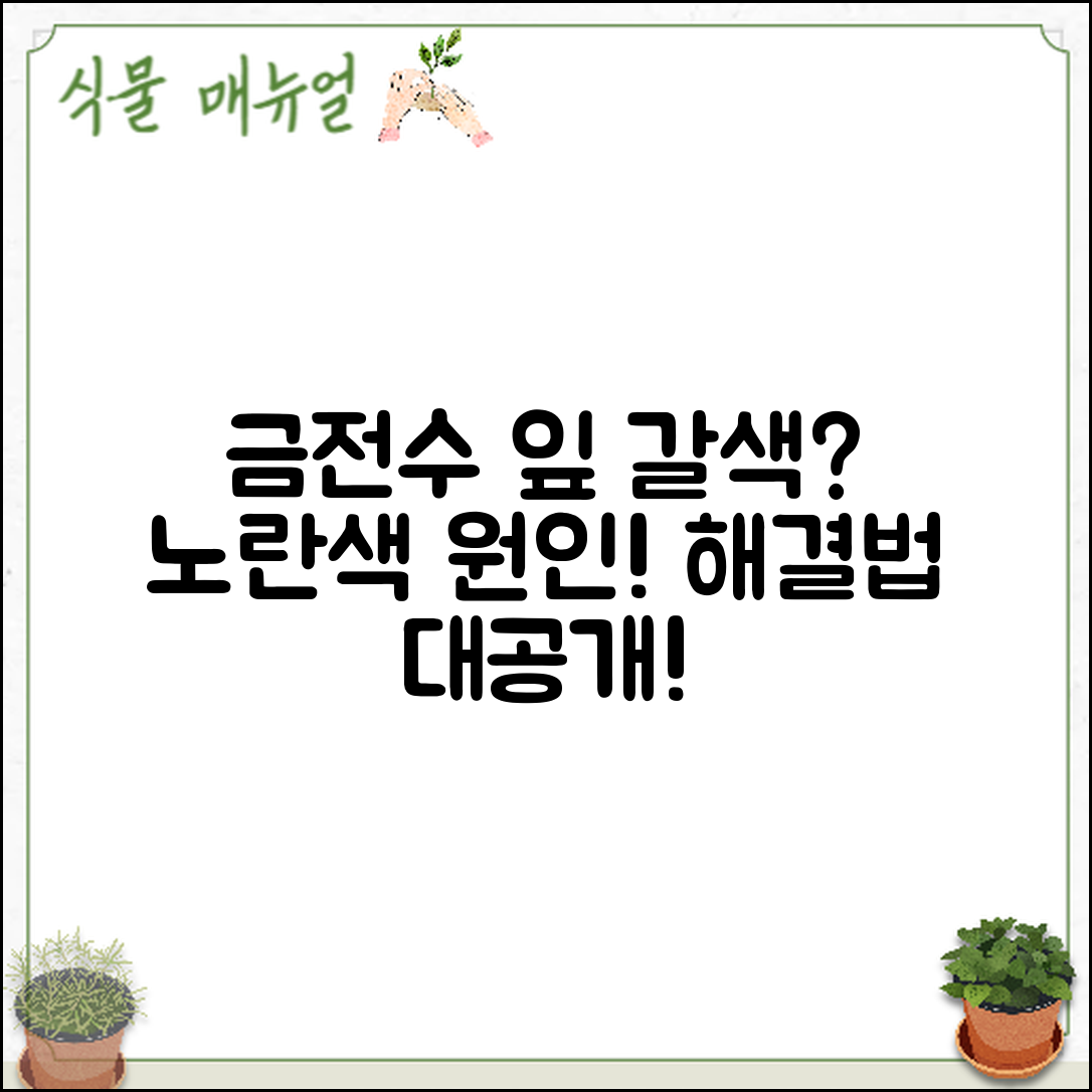 금전수 잎 갈색·노란색 해결법은?